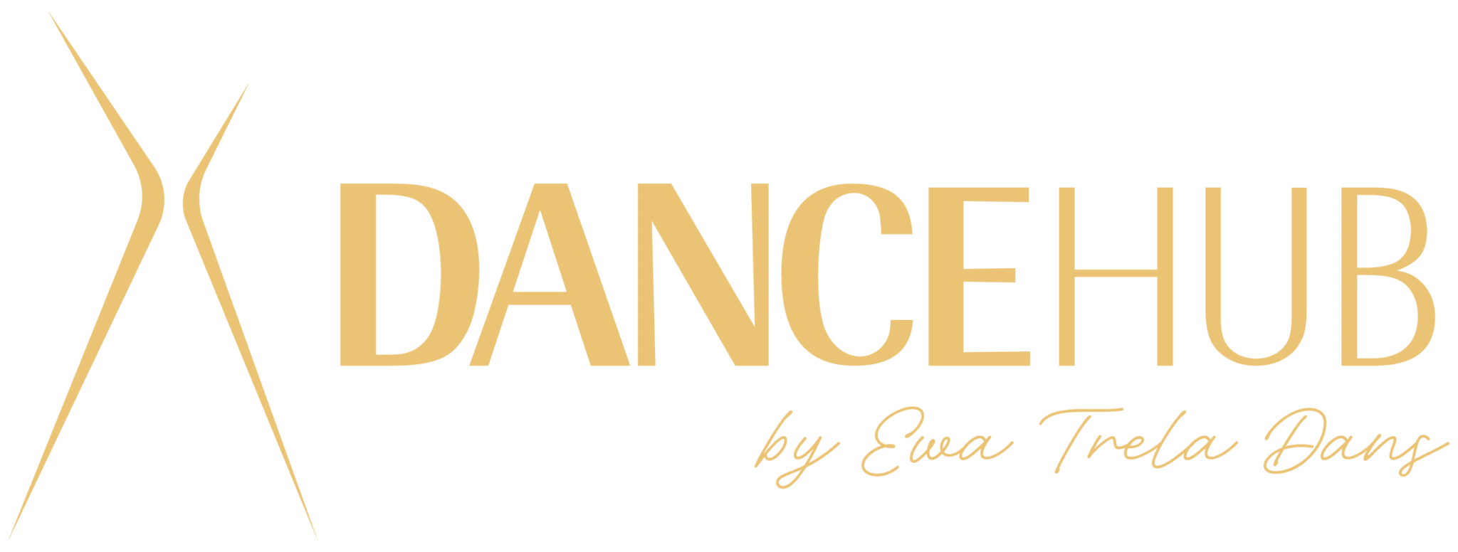 Dancehub By Ewa Trela Dans